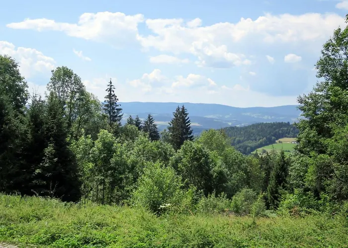 Dom wakacyjny Kreuzbuche By Interhome Viechtach